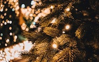 Christmas tree lights close up Ov R8 L Dj Q Lt I